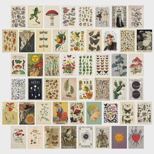 50 Stuks Esthetische Botanische Muurdecoratie Set: Planten, Bloemen, Vlinders & Paddenstoelen Posters