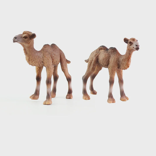 Realistisch Dromedaris Kameel Figuur - Premium Kwaliteit Speelgoed & Decoratie