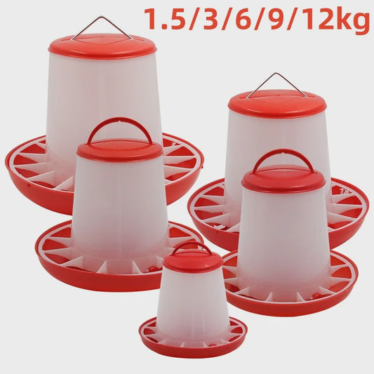 Automatische Kip Voerbak 1.5kg tot 12kg - Kippen, Duiven, Kwartels Voederstation