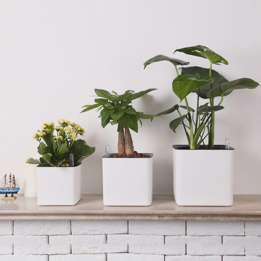 Self Watering Planter Self-watering Pot with Water Level Indicator White Self Watering Planter Modern Decorative Planter Pot