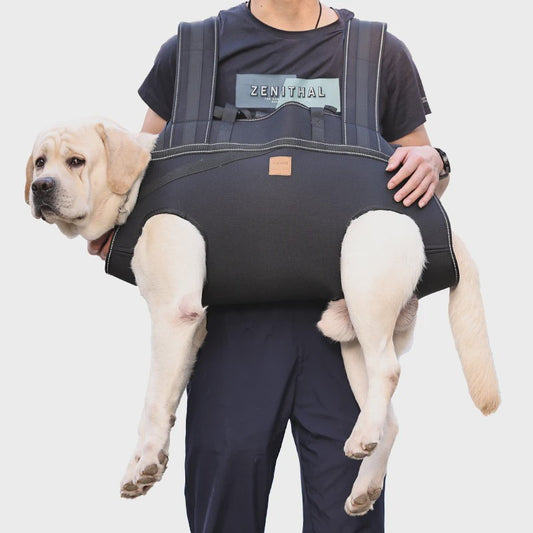 Multifunctionele Hondendrager Rugzak - Comfortabel & Ademend voor Middelgrote tot Grote Honden