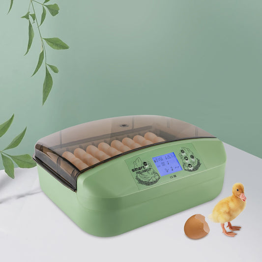 Volautomatische Broedmachine 32 Eieren - Slimme Incubator voor Kippen, Eenden & Kwartels (220V EU)