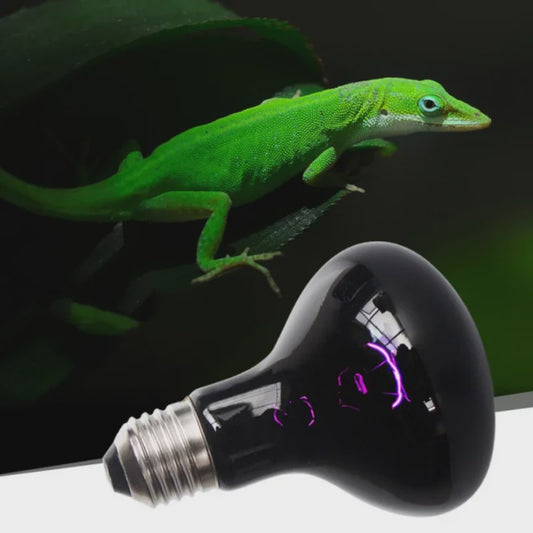 Reptielen UVA Infrarood Maanlicht Warmtelamp - 25W t/m 100W
