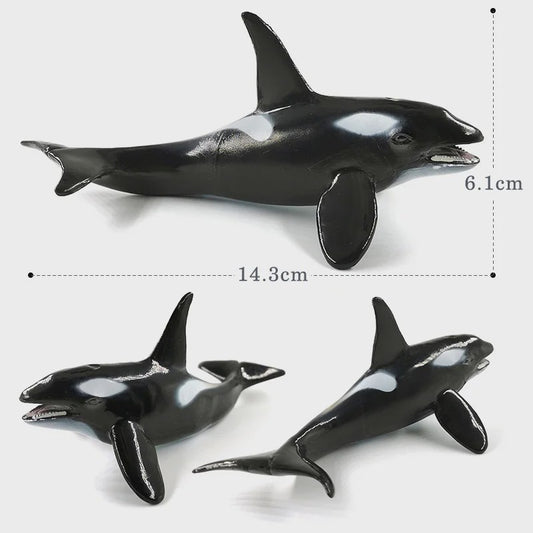 Miniatuur Zeedieren Figuren Set: Orka, Haai, Walrus, Zeeleeuw, Schildpad & Dolfijn
