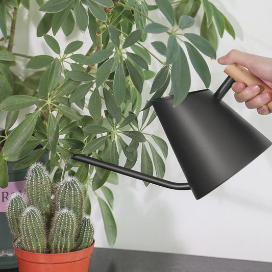 Roestvrijstalen Gieter 900ml Mat Zwart met Houten Handvat & Lange Tuit