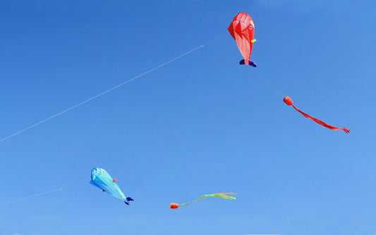 Grote Vlieger Dolfijn - Duurzaam Nylon Vliegplezier voor Volwassenen en Kinderen