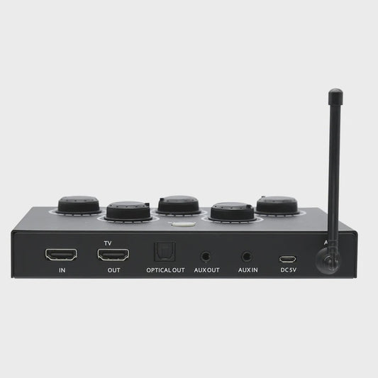 Draadloos UHF Karaoke Microfoon Systeem met Mixer voor Smart TV, PC en Home Theater