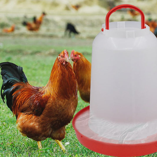 Automatische Kippen Drinkbak - Plastic Voederapparaat - Diverse Maten (1L t/m 18L)