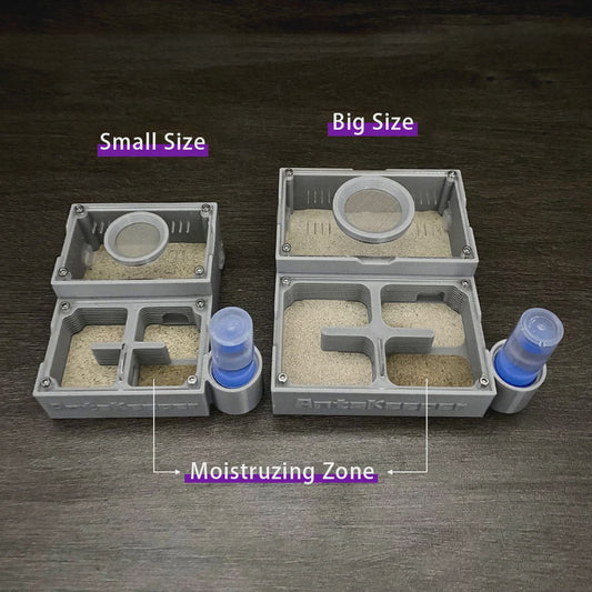 Ants Keeper Mierenboerderij met Vier Kamers en Nat-Droog Scheiding - Ideaal voor Beginners