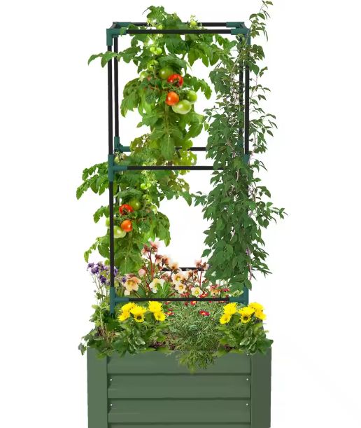 Verhoogde Plantenbak met Klimrek 61x61x140 cm – Stalen Kweekbak voor Tomaten, Groenten en Kruiden