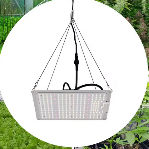 LED Groeilamp voor Kamerplanten – Dimbare Volledig Spectrum LED Plantengroeilamp met 5 Koppen, Lange Levensduur, Lage Geluidsproductie, Perfect voor Kruiden, Bloemen en Groenten