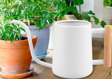 900ml Roestvrijstalen Gieter met Houten Handvat – Lange Uitloop Gieter voor Kamerplanten en Tuin