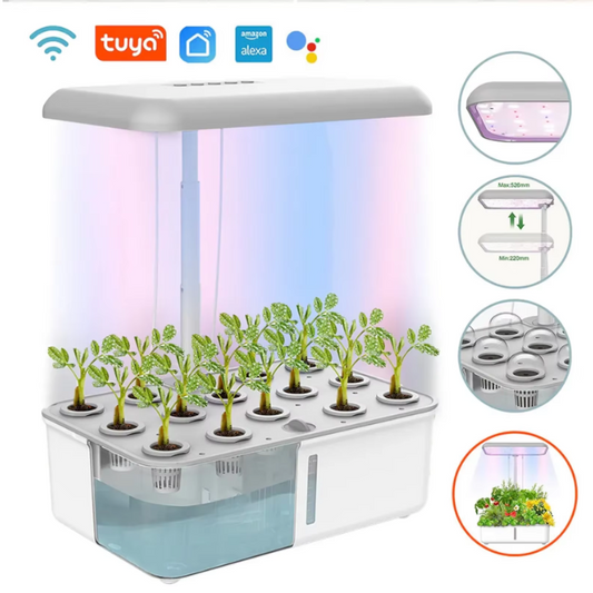 Slim Hydrocultuur Kweeksysteem met LED Groeilamp – WiFi Indoor Kruidentuin met Zelfbewatering