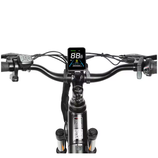 Elektrische Fiets 26 Inch – E-Bike met 250W Motor en Uitneembare Accu