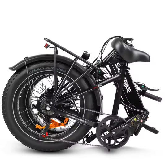Elektrische Fatbike 20 Inch – 250W E-Bike met 48V Accu en Brede Banden