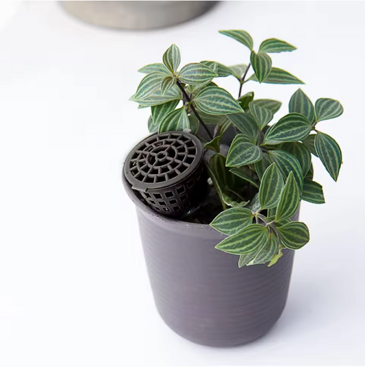 10 Stuks Meststof Manden voor Planten – Kunststof Mestkorf met Deksel voor Orchidee en Bonsai