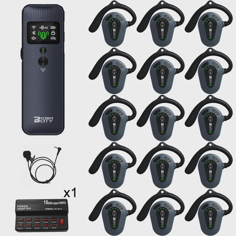 Professioneel 2.4GHz Draadloos Tour Guide Systeem met Groene Laser Pointer en Audio Headset