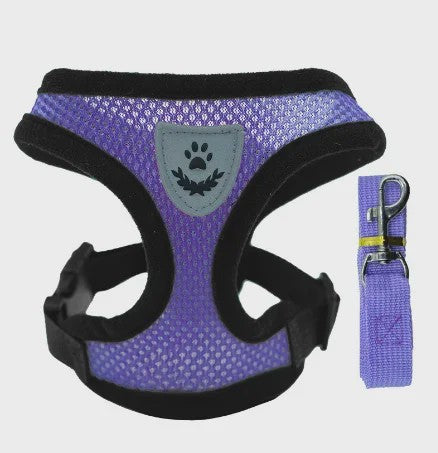 Verstelbaar Katten Tuigje met Lijn - Ademend Mesh Vest voor Kleine Honden & Katten
