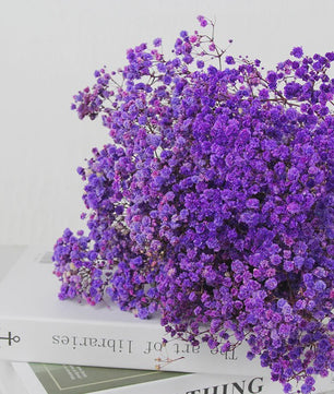 60g Gedroogde Baby's Breath Bloemboeket - Natuurlijke Gypsophila Decoratie