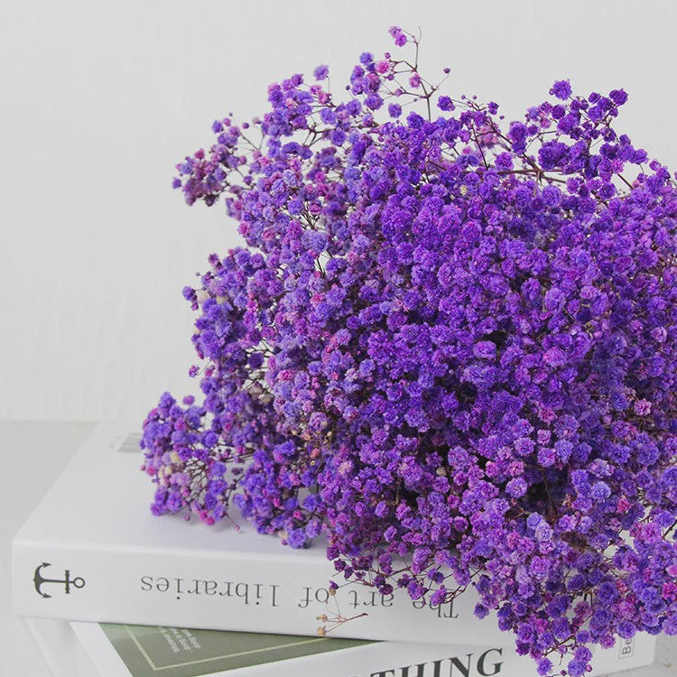 60g Gedroogde Baby's Breath Bloemboeket - Natuurlijke Gypsophila Decoratie