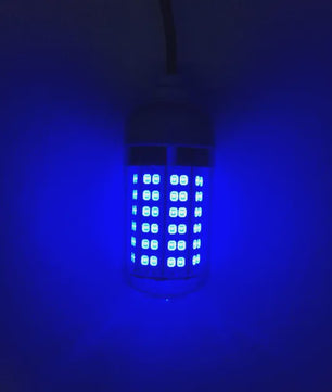 Waterdichte LED Visserslamp Onderwater - 12V AC/DC - Trekt Vis, Garnalen, Inktvis aan