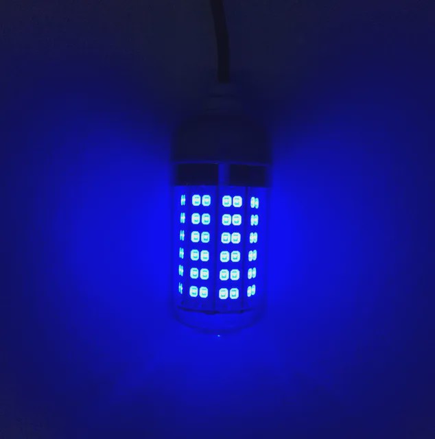 Waterdichte LED Visserslamp Onderwater - 12V AC/DC - Trekt Vis, Garnalen, Inktvis aan
