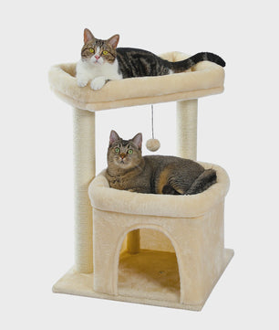 Kattenboom met Condo, Dubbele Perch en Krabpalen - Perfect voor Binnenkatten en Kittens