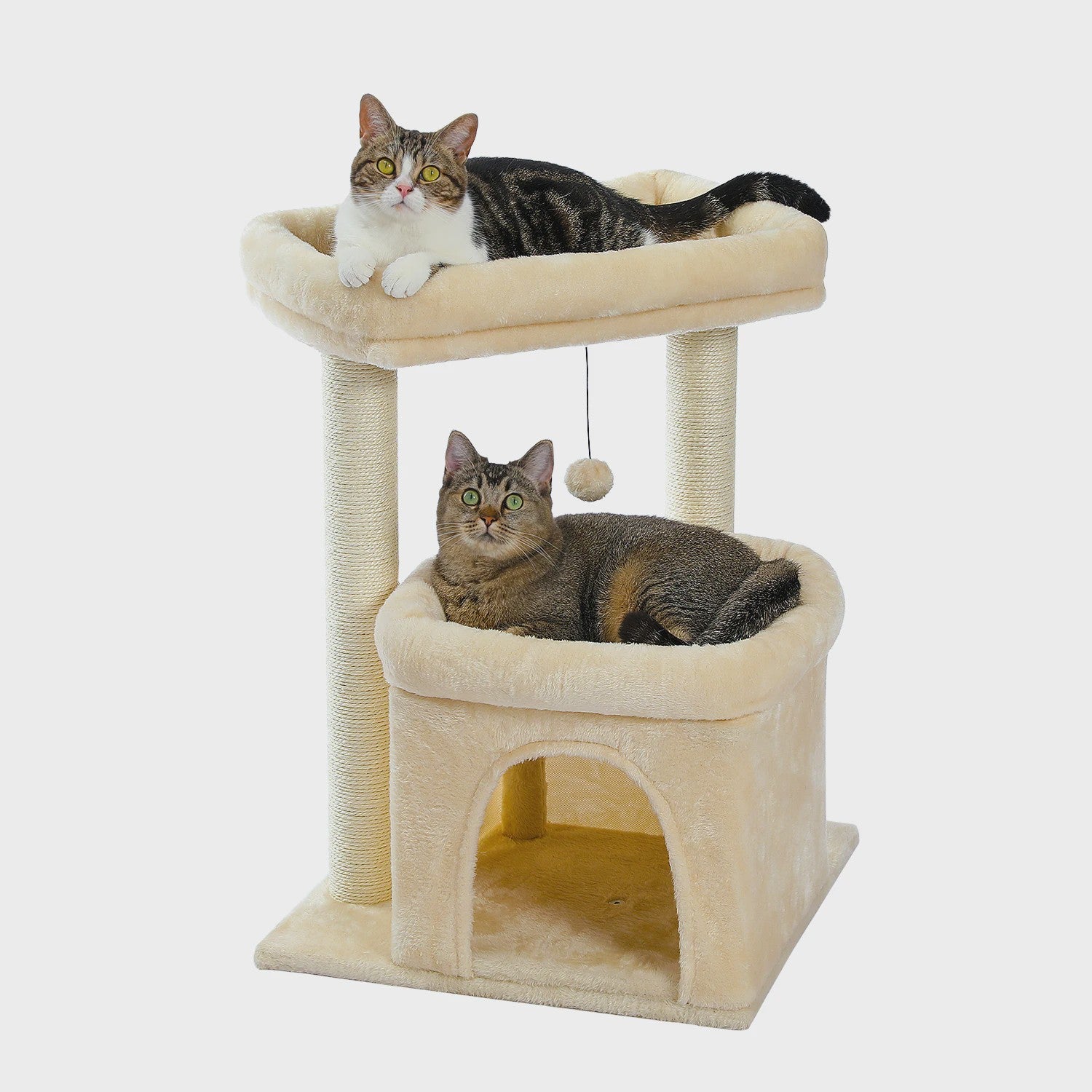 Kattenboom met Condo, Dubbele Perch en Krabpalen - Perfect voor Binnenkatten en Kittens