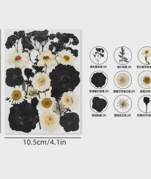 Set Gedroogde Bloemen & Bladeren (16-19 Stuks) - Natuurlijk & Realistisch