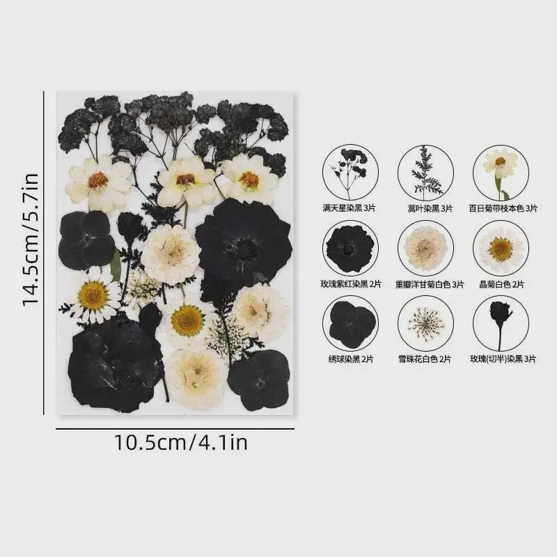 Set Gedroogde Bloemen & Bladeren (16-19 Stuks) - Natuurlijk & Realistisch