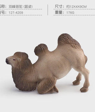 Realistische Dromedaris & Baktriaanse Kameel Figuren - Desktop Ornament
