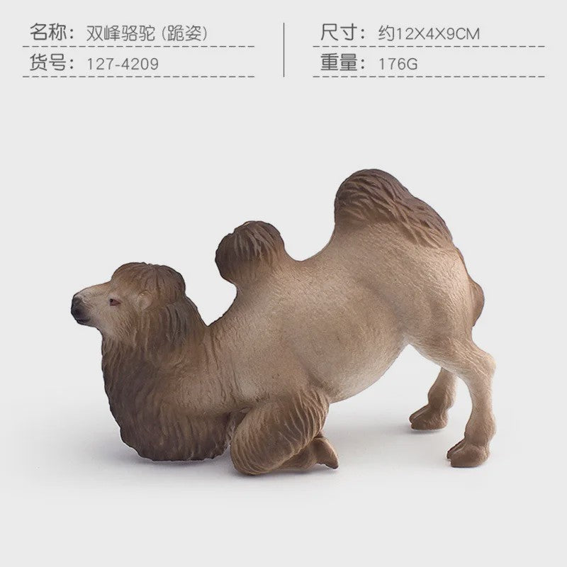 Realistische Dromedaris & Baktriaanse Kameel Figuren - Desktop Ornament