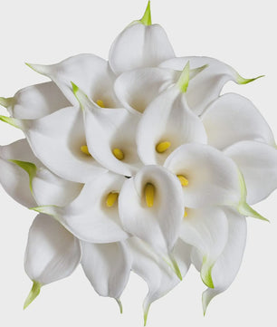 20x Kunstbloemen Calla Lelie - Real Touch Latex - Pure Wit