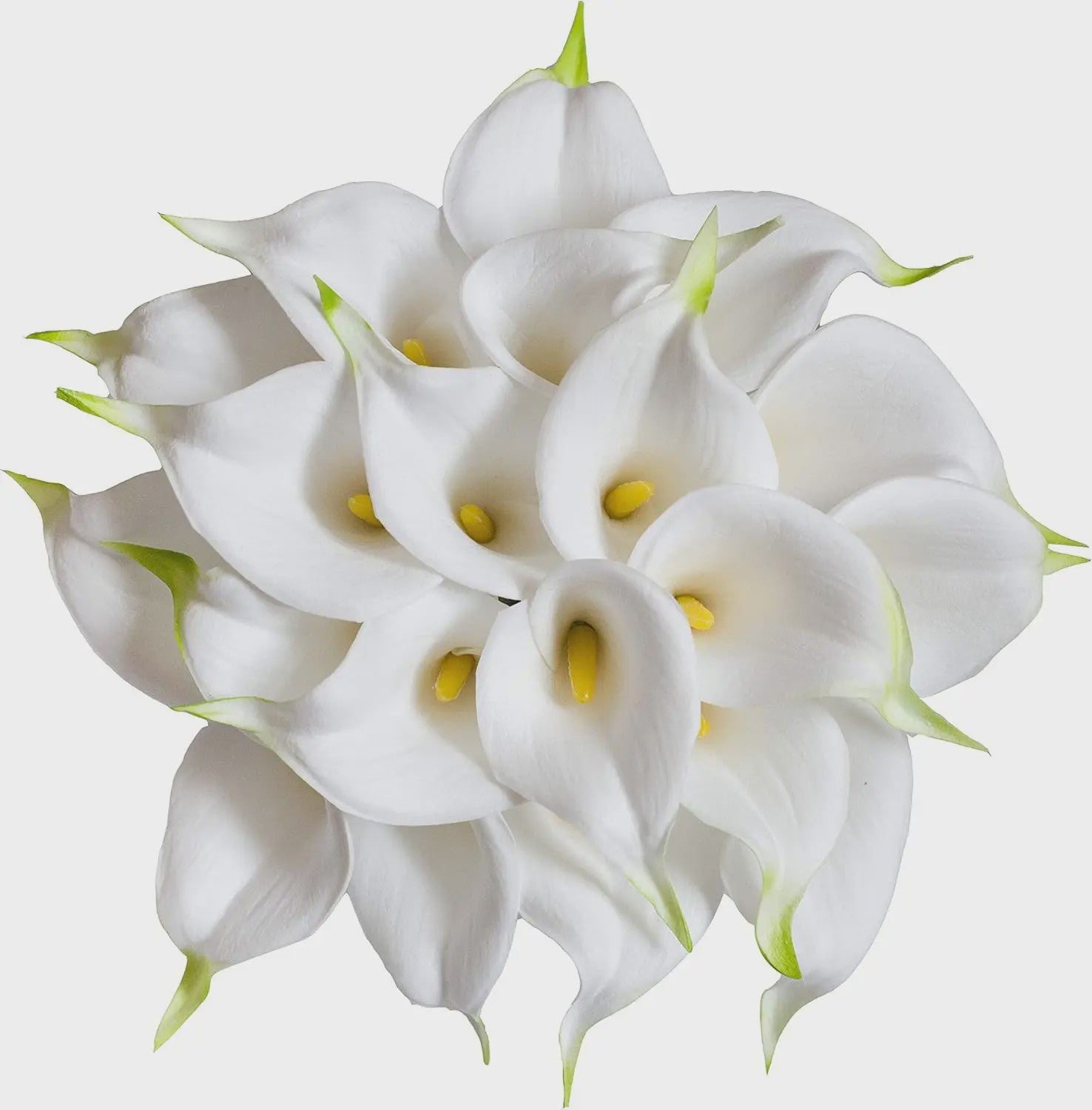 20x Kunstbloemen Calla Lelie - Real Touch Latex - Pure Wit