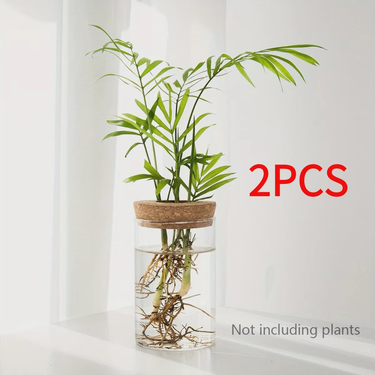 Glazen Hydroponics Vaas - Plantenstekken Station & Decoratie
