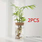 Glazen Hydroponics Vaas - Plantenstekken Station & Decoratie