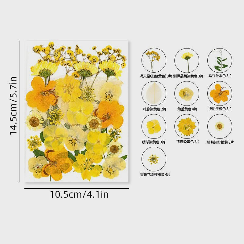 30 Stuks Gedroogde Persbloemen - Natuurlijke Bloemen & Bladeren voor Resin Art, Knutselen en Decoratie