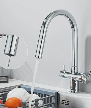 Keukenmengkraan met Uittrekbare Douchekop en Waterfilter - Goudkleurig