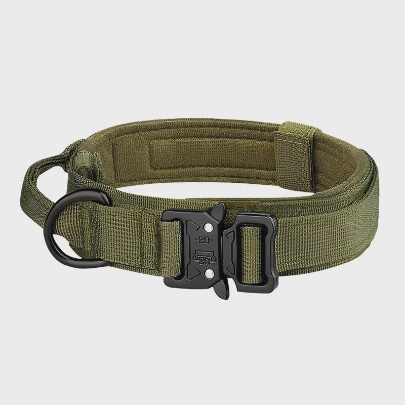 Sterke Tactische Hondenhalsband met Metalen Gesp - Nylon, Verstelbaar voor Training & Dagelijks Gebruik