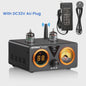 AIYIMA T9 PRO HiFi Bluetooth 5.2 Tube Versterker met VU Meter - 100W x 2 Stereo Audio Amp met USB DAC, COAX & OPT