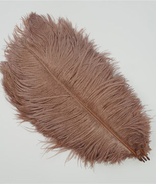 Set van 10 Gekleurde Struisvogelveren voor Knutselen, Decoratie en Feesten