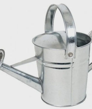 Vintage Gietijzeren Gieter - 2.3L & 5L - Roestvrij & Stijlvol voor Binnen & Buiten Tuinplanten
