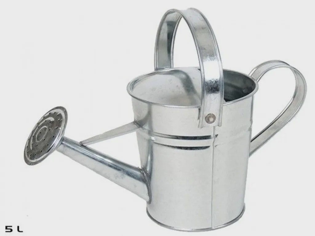 Vintage Gietijzeren Gieter - 2.3L & 5L - Roestvrij & Stijlvol voor Binnen & Buiten Tuinplanten