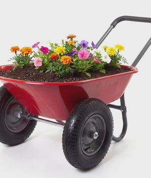 Robuuste Tuin Kruiwagen Kar met Staander - 2- of 4-wielige Transportkar
