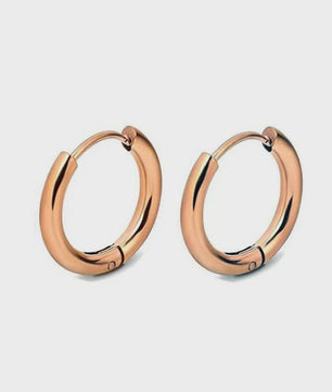 Roestvrijstalen Hoops Oorbellen - Goudkleurig, Zilver, Zwart & Regenboog - Unisex