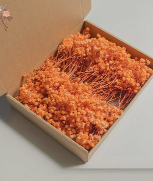 Gedroogde Mini Gipsenkruid Bloemen (100 stuks) - DIY Decoratie & Cadeau