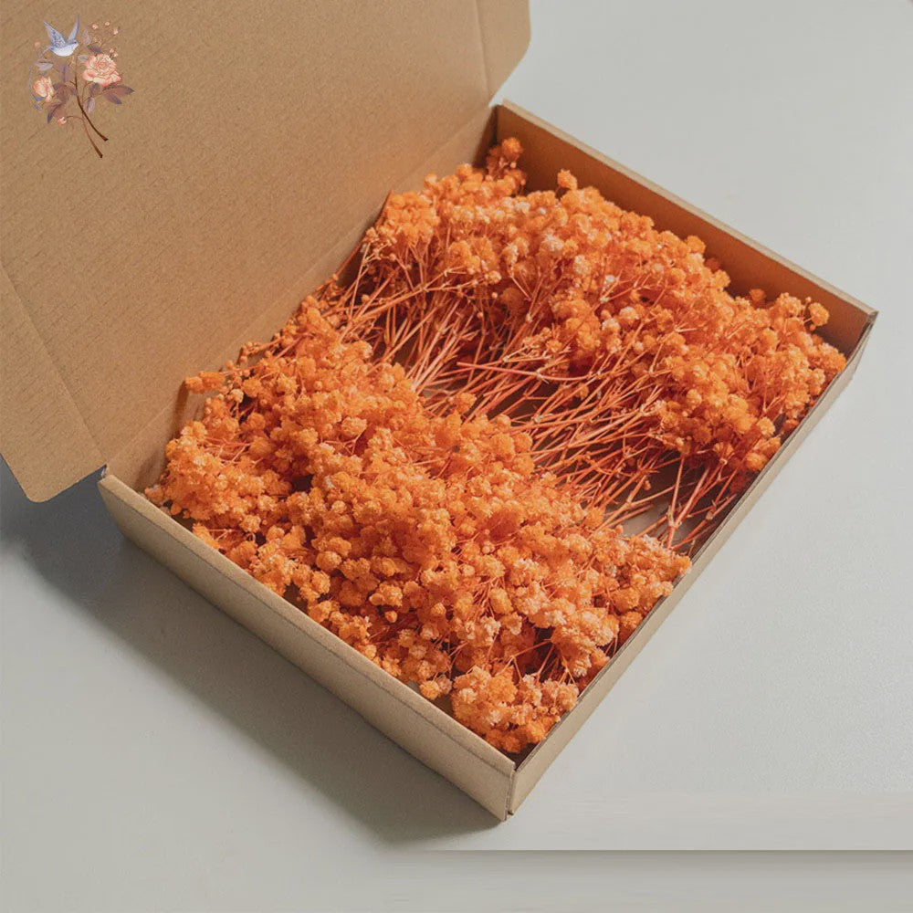 Gedroogde Mini Gipsenkruid Bloemen (100 stuks) - DIY Decoratie & Cadeau