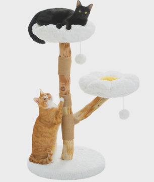 Luxe Kattenboom met Natuurlijk Hout, Wicker Mand & Krabpalen - Comfortabel Kattenhuis
