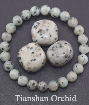 Natuurlijke Blauwe Apatite Kralen Armband - Reiki Energie & Gezondheid