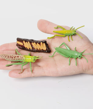 Realistische Insecten Model Figuren: Bidsprinkhaan, Bladwesp & Meer - Educatief Speelgoed & Decoratie